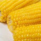 Yellow Corn Yellowcornyellow Corn DSF NON-GMO Yellow Frozen Sweet Corn Cob