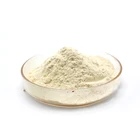 dehydrated garlic powder/ factory supply