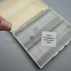 100pcs Microbiology slides prepared for microscope