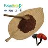 /product-detail/focusherb-reishi-mushroom-extract-ganoderma-extract-62408176991.html