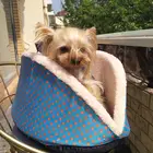 Comfortable Warm Deep Sleep Pet Bed Of Animal Dog And Cat