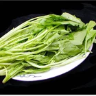 DSF Autumn Crop Frozen IQF Spinach Cuts for soup