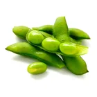 Soya Bean Premium 100% Top Quality Premium Quality Frozen Soya Bean