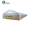 Low Cost UV Resistant Film Greenhouse Roofing Plastic For Sale Philippines