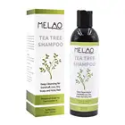 Refreshing Hair Shampoo Tea Tree OEM ODM Oragnic Tea Tree Oil Free Cleansing Beauty Supplies Shampoo for Dry Hair