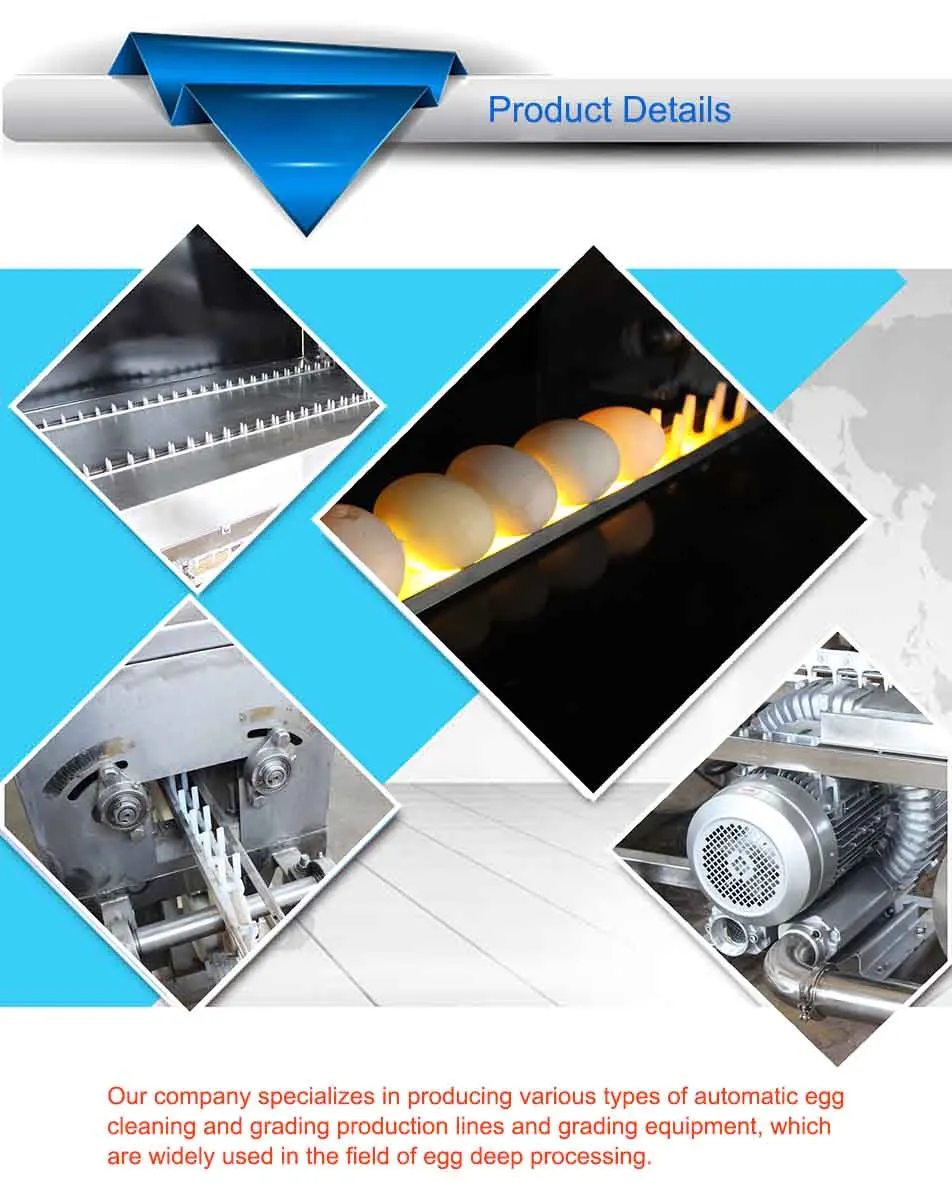 Automatic Egg Grader Size Weight Sorting Grading Packing Processing Machine Chicken Egg Cleaning and Weight Sorter Machine manufacture