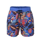 Beach Best Price For Summer Shorts Beach Swimming Wear Shorts Swimwear Men Beach Shorts