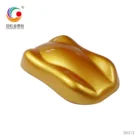 Color Colour Powder Hotsale Industrial Grade Gold Color Pearl Pigment Mica Pearlescent Powder For Ink Coating