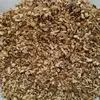 /product-detail/high-quality-dehydrated-mushroom-grow-bags-cultivation-62347303609.html