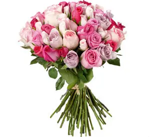 rose 