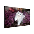 Tv Custom Lcd Video Wall Display 49 Inch 40/42/46/49/50/55/58/65 Inch Ultra Slim Bezel Lcd Tv Walls