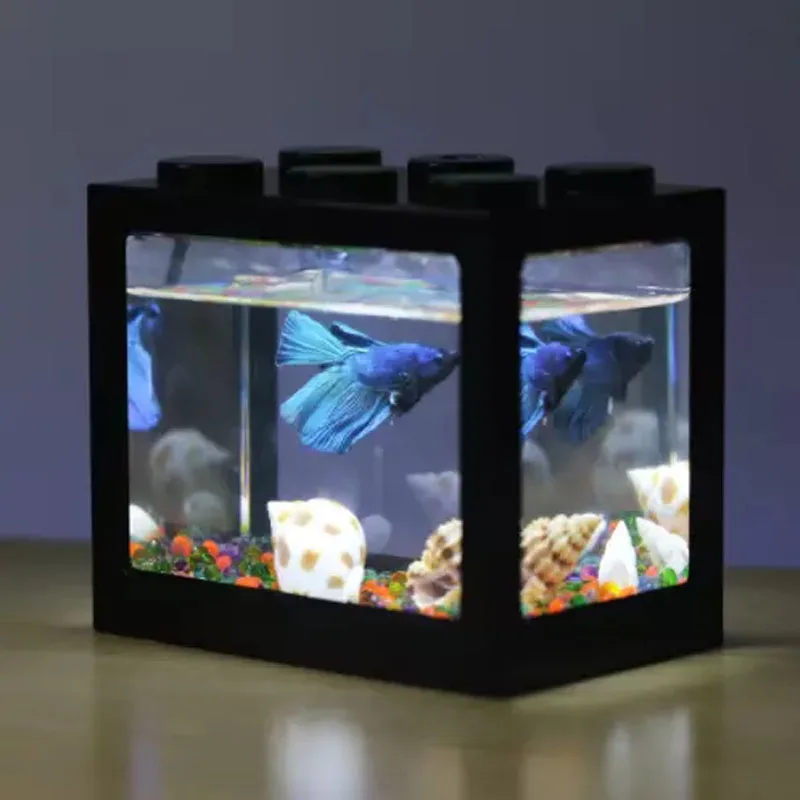 2 aquarium tank.jpg