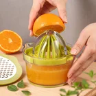 Mini Juicer Small-Scale Fruit Processor Extractor Juice Maker
