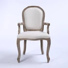 Dining Room Furniture Modern Fabric Dining Room Upholstery Furniture Luxury Arm Chair Dining Chair