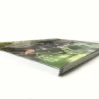 Custom Cheap A4 size paperback softcover coloring brochure bound book catalogue magazine printing service