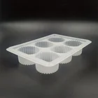 Disposable PP Plastic Meatball Blister Packaging /Clear 6 Pcs Frozen Food Cake Tray