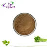 /product-detail/organic10-1-celery-extract-celery-leaf-extract-powder-62373473085.html