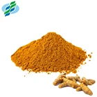 turmeric extract powder 95% 98% curcumin
