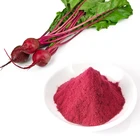 Natural plant extract beet root extract powder supply