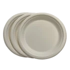 Disposable Plate Biodegradable Plates Biodegradable Disposable Bagasse Plate