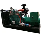Biogas Generator Biogas Generator Set Clean Energy 150kva/120kw Biogas Generator Set Made In China