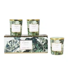 organic jasmine beeswax scented candle and air fresheners