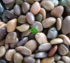 Cheap Natural Mix Color River Pebble Stone for Sale