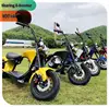NEW Vespa Model 60V 2000W Electric Motorcycle Approved COC/EEC Certificate