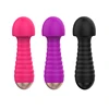 /product-detail/waterproof-usb-rechargeable-handheld-mini-wireless-multi-speed-wand-massager-vibrator-for-women-sex-toy-62379072120.html
