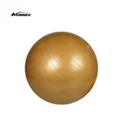 Minnee Eco Friendly Anti Burst Gym Exercise Yoga Ball