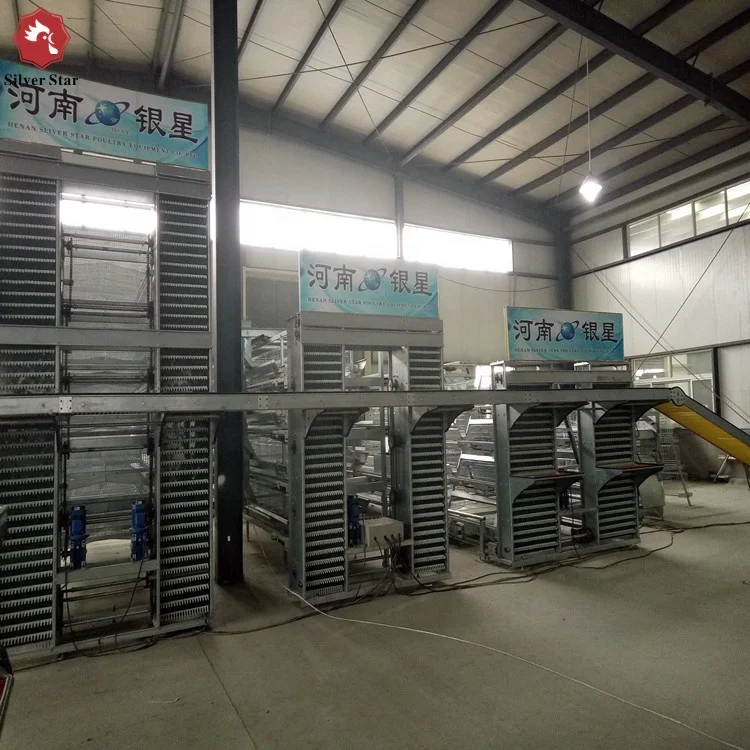 folding poultry chicken cage.jpg