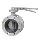Cheap 65mm Ansi Manual Center Line EPDM Seat Butterfly Valve SS 316 304 Flange With Handle