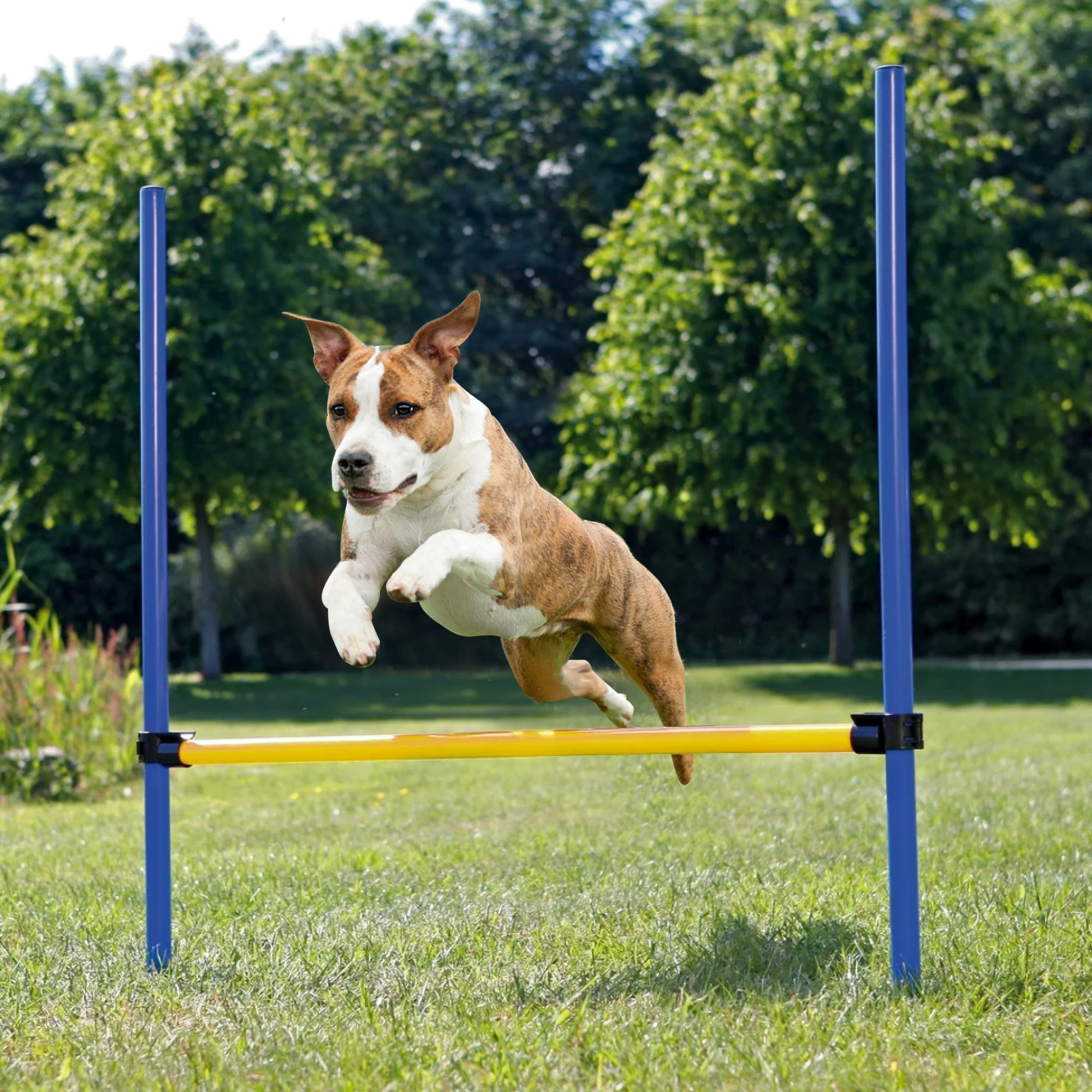 pawise宠物狗户外游戏敏捷运动训练可调节身高跳跨栏训练器材为狗