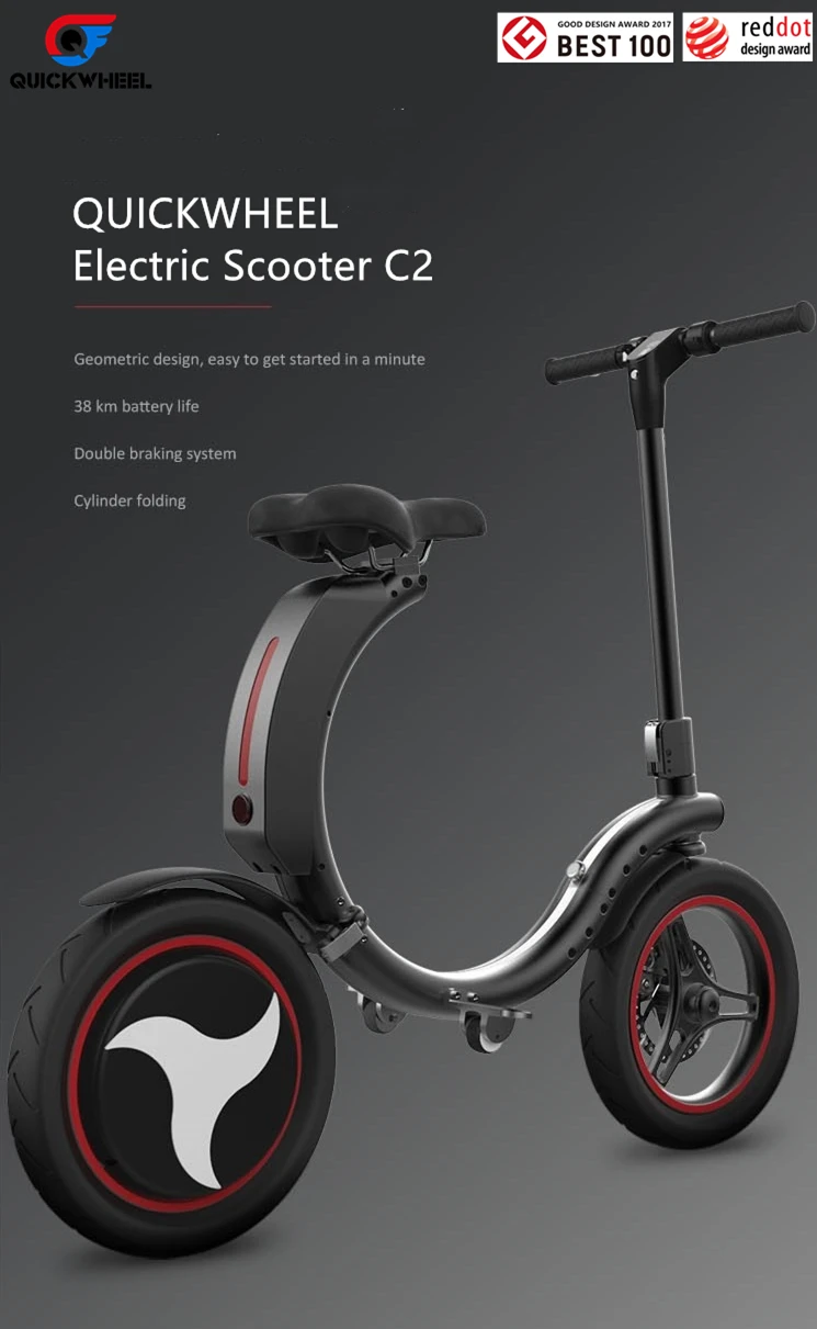 Electric Scooter 1_.jpg
