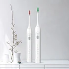 Battery Portable Holder China Sonic Toothbrush Electric