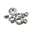 304 316 Stainless Steel M8 M10 M12 Hex Flange Nut DIN 6923