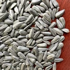 Seeds Wholesale Low Price Bulk High Purity Good Taste Oil Seeds