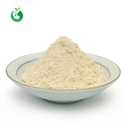 Wholesale Organic 20kg Pea Protein Powder