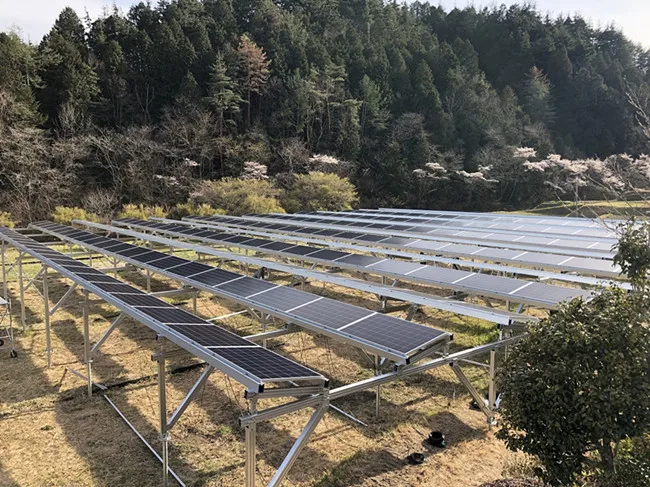 Solar Farm Mounting System Usage Scene Solar Farm Mounting System Usage Scene
