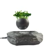 /product-detail/levitating-bonsai-air-tree-indoor-air-bonsai-62359639221.html