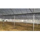 Reasonable price top sell film greenhouse for seeding plant