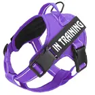 New Arrival Soft Padded Mesh No Pull dog pet harness ,custom nylon service dog harness,wholesale reflective dog harness