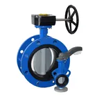 Butterfly Factory Price Wholesale Flanged Valve Butterfly 4 Inch Dn 100 Pn 10-18 Supplier