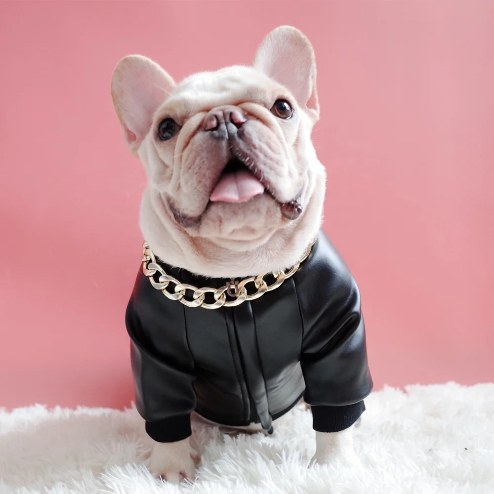 dog apparel wholesale