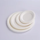 Disposable Biodegradable Christmas Divided Small Large Round Square Oval Sugarcane Paper Plates 9 Inch