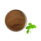 Organic Natural Ginkgo Biloba Leaf Extract Powder USp