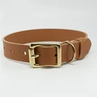 Brass Dog Brass and Brown Genuine Leather Dog Collar