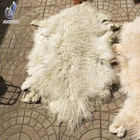 Cheap price 100% real magnolian sheep skin curly fur lamb skin fur skins of fur animals