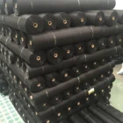 Screen Insect Retractable Fly Screen Window/Fiberglass Insect Screen/Roller Screen Window