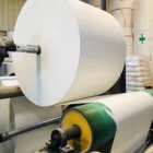 Cheap Price Self Adhesive Plastic One Single Side PE Coated Kraft Paper Roll